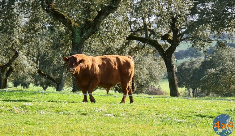 pt16   2 von pt16   2 von