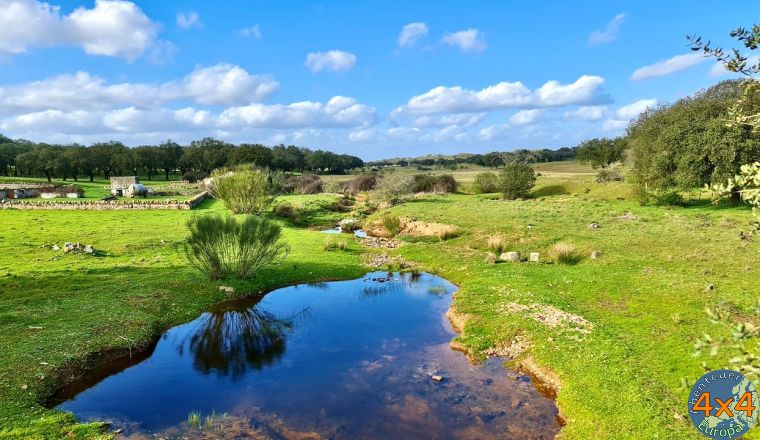 pt16   3 von pt16   3 von