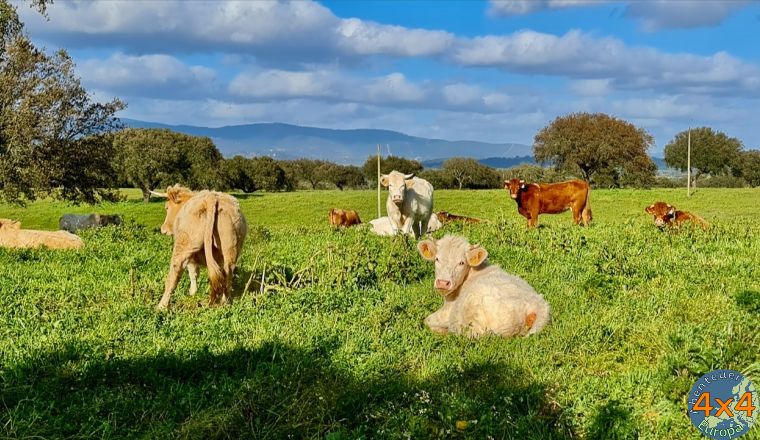 pt16   5 von pt16   5 von