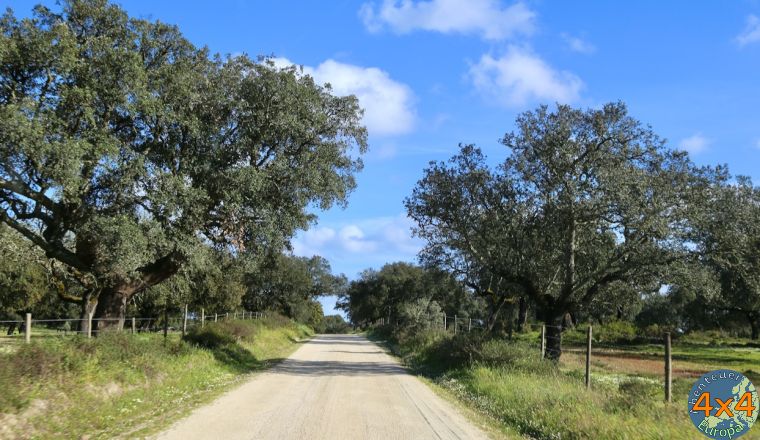 pt16   von pt16   von