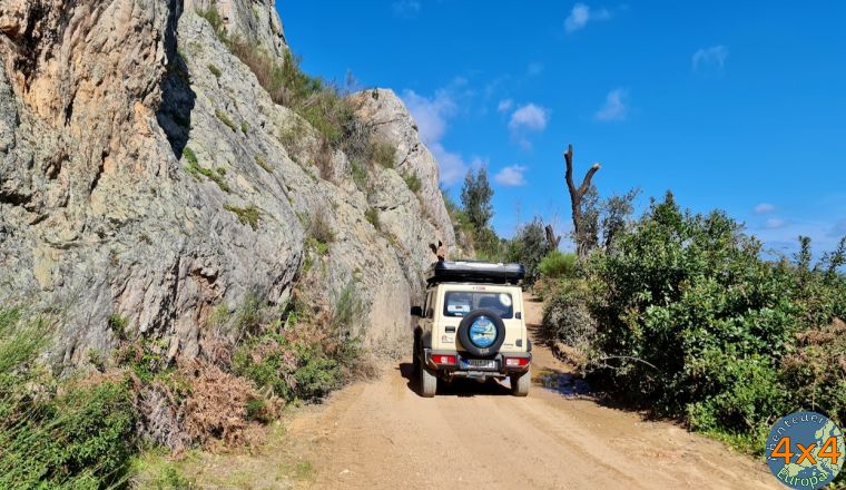 pt17   4 von pt17   4 von