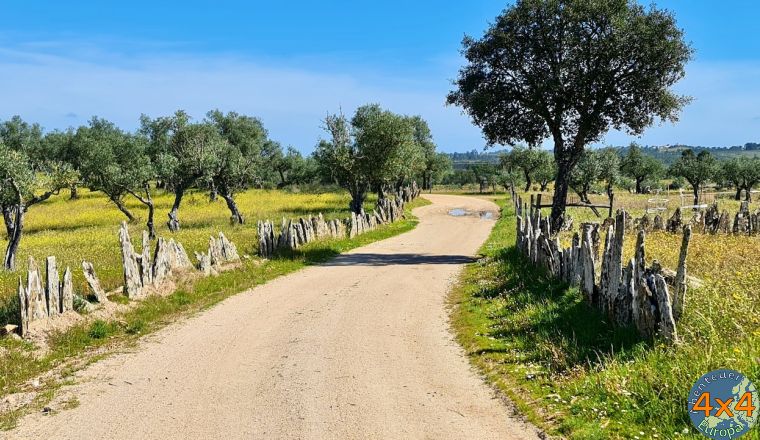 pt18   2 von pt18   2 von