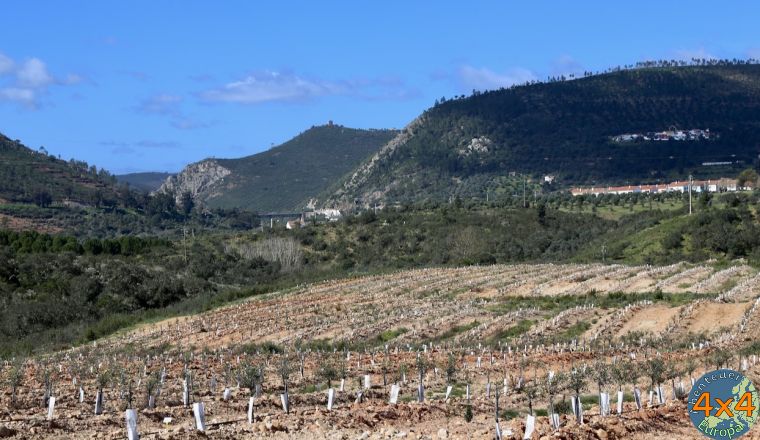 pt18   von pt18   von