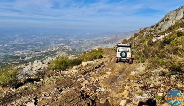 pt19   4 von pt19   4 von