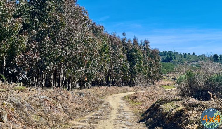 pt21   3 von pt21   3 von