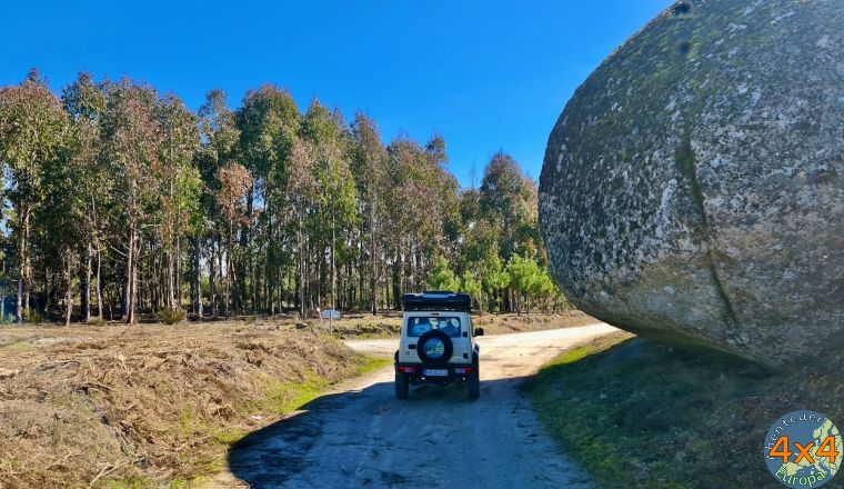 pt21   4 von pt21   4 von