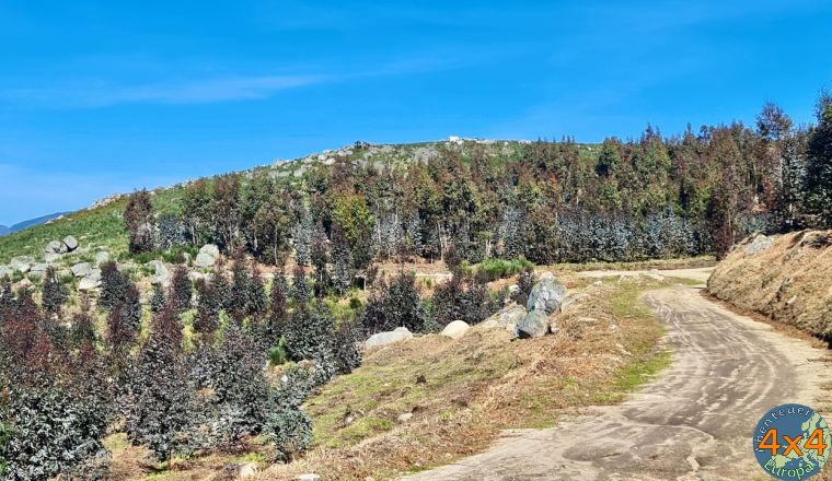 pt22   3 von pt22   3 von