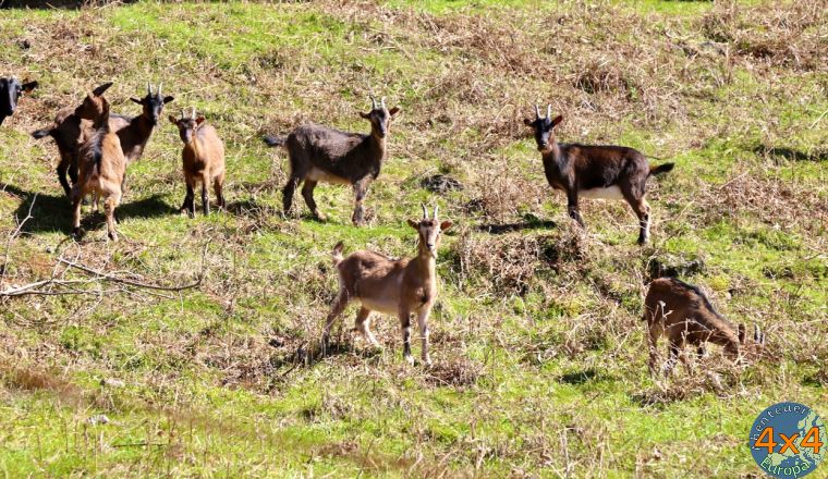 pt22   von pt22   von