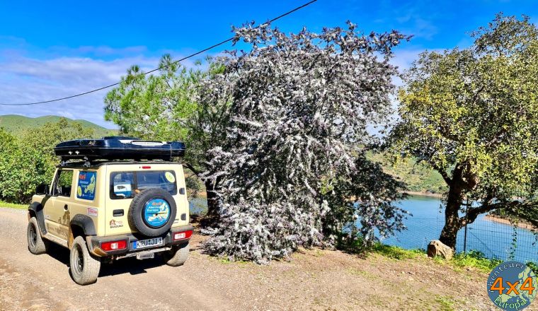 pt6   7 von pt6   7 von