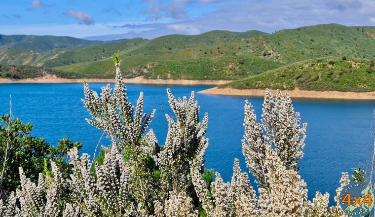 pt6   8 von pt6   8 von