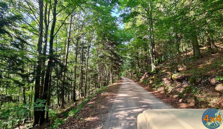 4sl16   4 von 4sl16   4 von