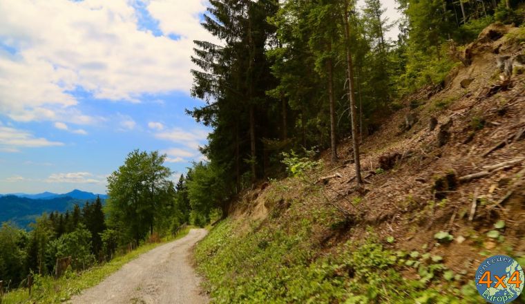 4sl4   10 von 4sl4   10 von