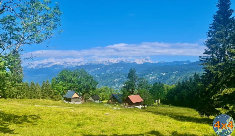 4sl4   2 von 4sl4   2 von