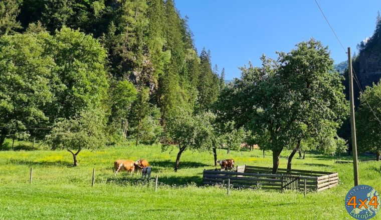 4sl5   6 von 4sl5   6 von