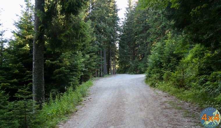 4sl6   4 von 4sl6   4 von